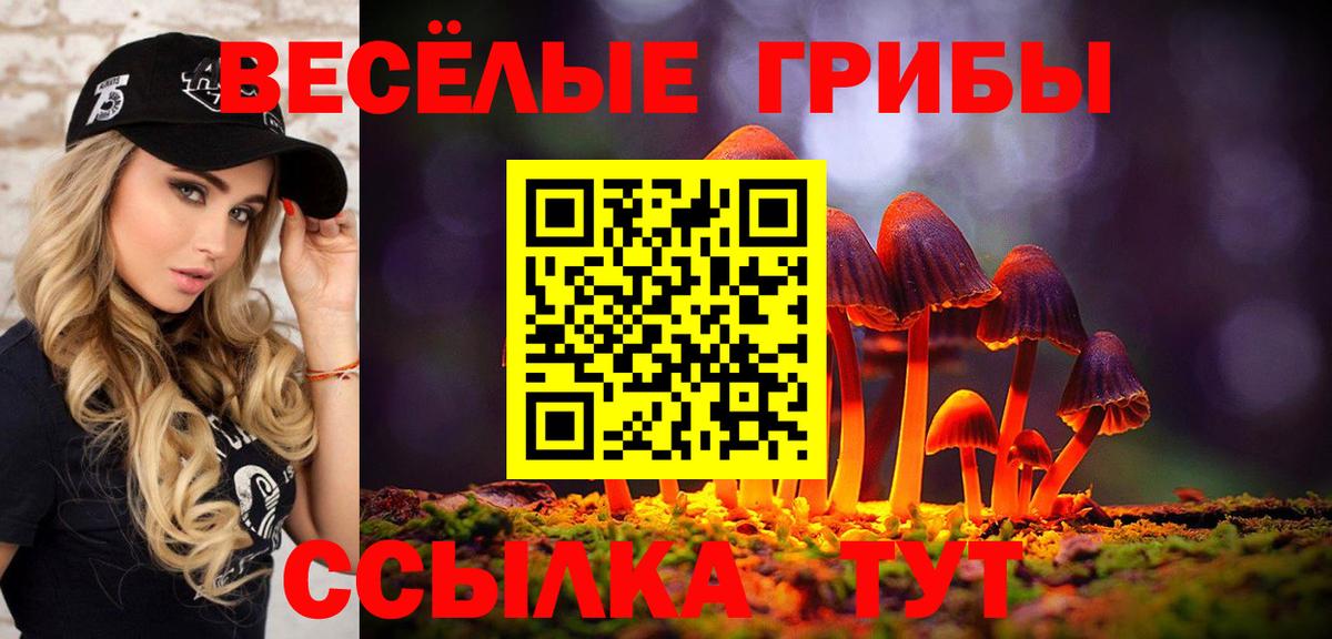 Псилоцибиновые грибы Psilocybe Торжок